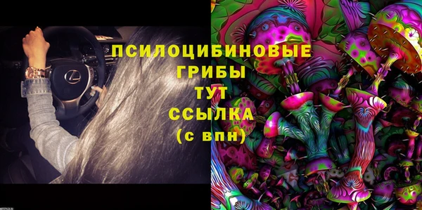 синтетический гашиш Алексин